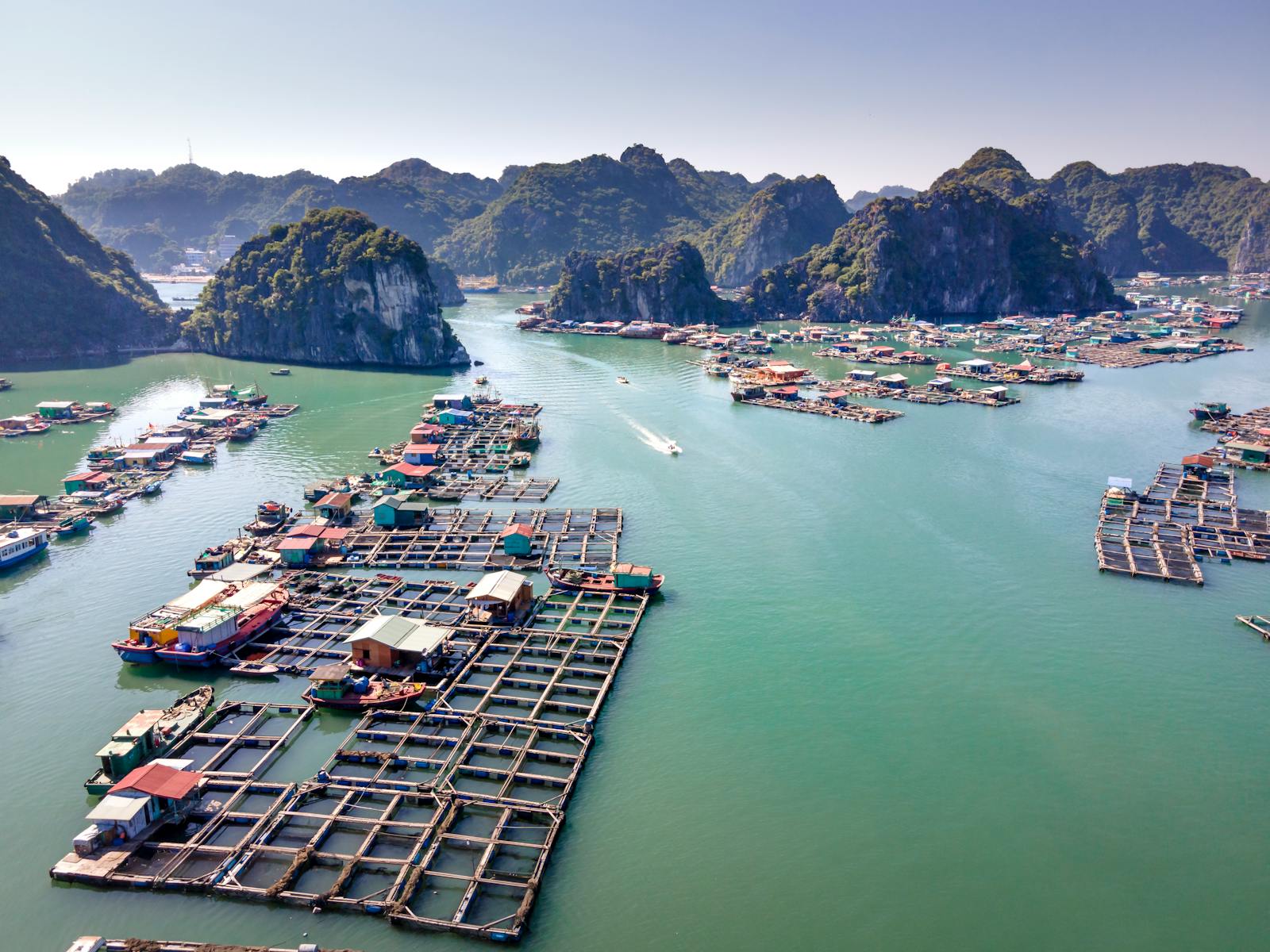 A scenic aerial view of floating fishing villages in Halong Bay, Vietnam, clear skies above.