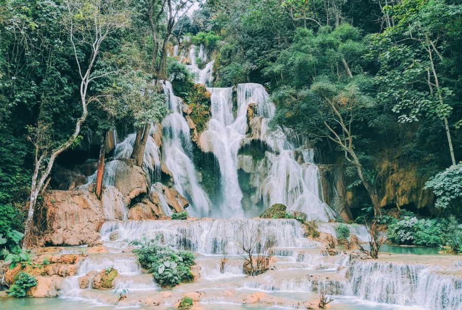 waterfalls in the middle of the forest during daytime