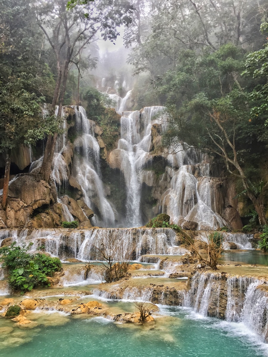 waterfalls in the middle of the forest
