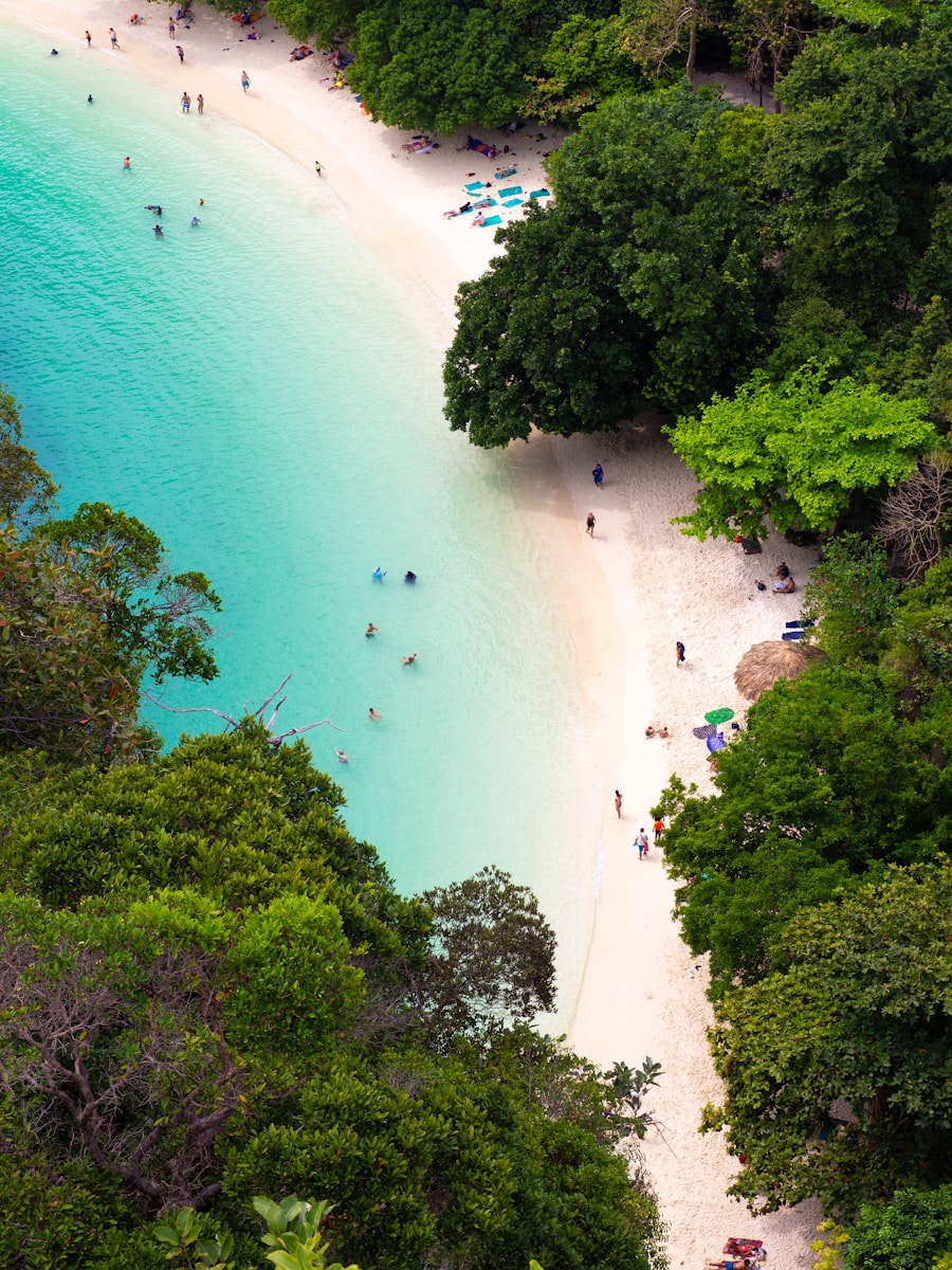 a group of people standing on top of a sandy beach
